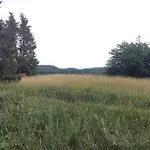 Harzblick 2