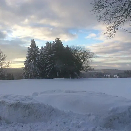 Blockhaeuser Fewo2 Harzblick