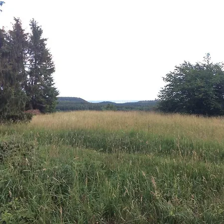 Blockhaeuser Fewo2 Harzblick