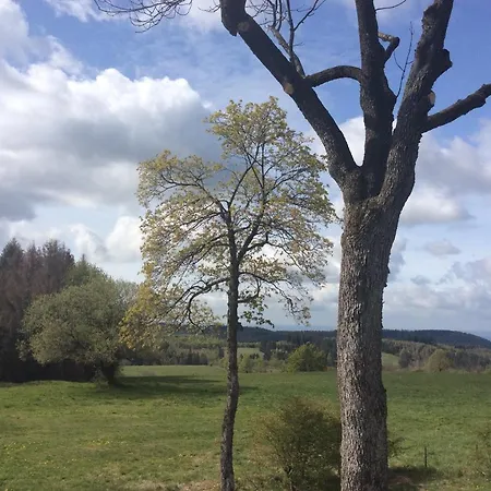 Blockhaeuser Fewo2 Harzblick Apartment Braunlage