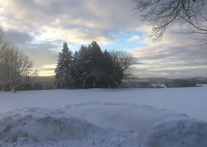 Harzblick 2
